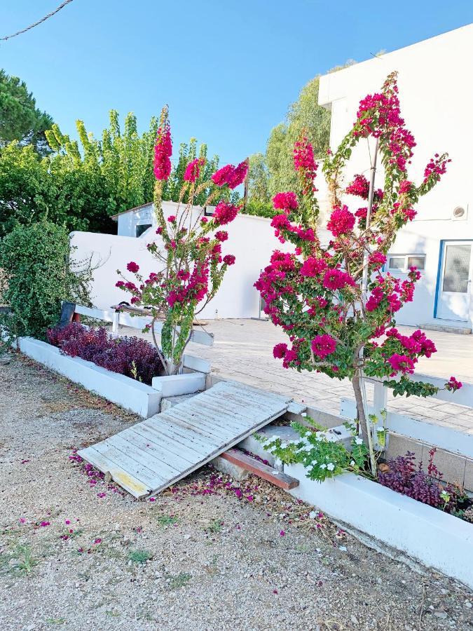 Apollonio Suites & Rooms Faliraki Rhodes Bagian luar foto